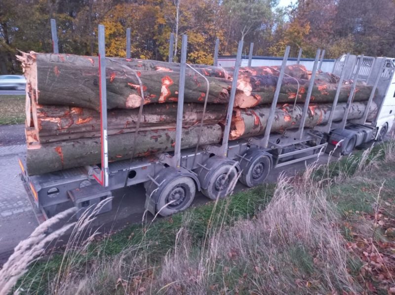 ROUND BEECHWOOD WITH BARK