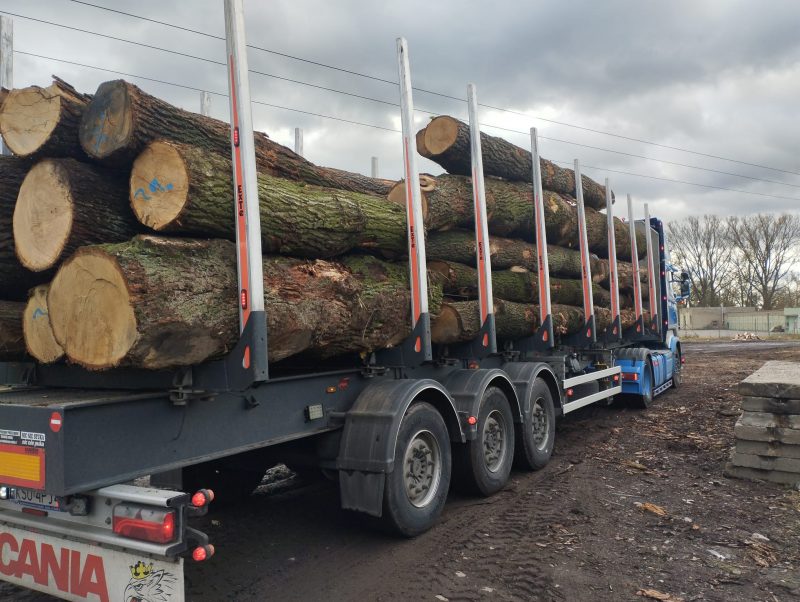 ROUND OAK WOOD WITH BARK 
