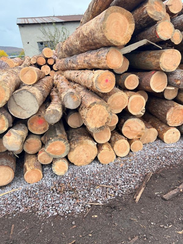 ROUND PINEWOOD WITH BARK 