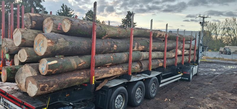 ROUND ASH WOOD WITH BARK