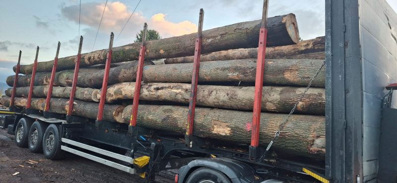 ROUND ASH WOOD WITH BARK