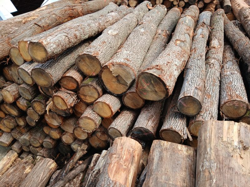 ROUND OAK WOOD WITH BARK 