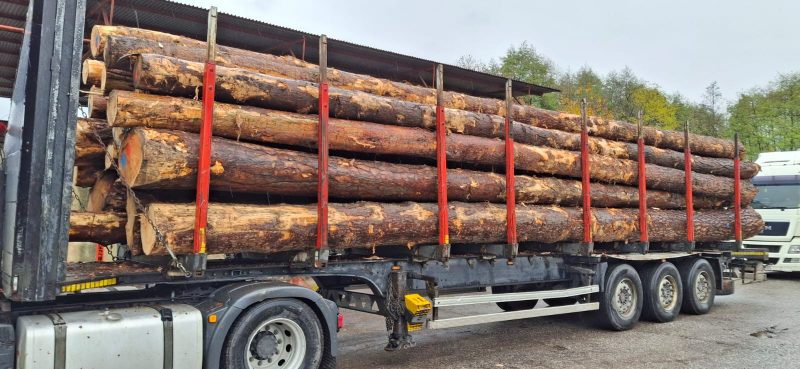 ROUND PINEWOOD WITH BARK 