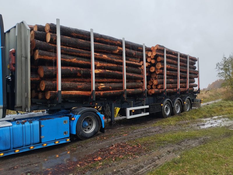 ROUND ALDER WOOD WITH BARK 