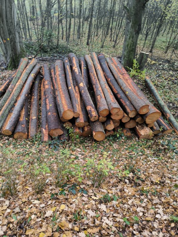 ROUND ALDER WOOD WITH BARK 