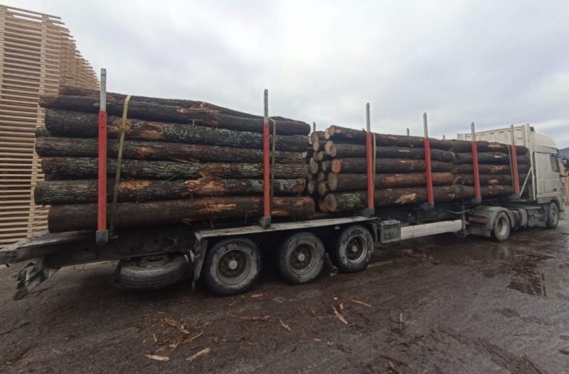 ROUND OAK WOOD WITH BARK 