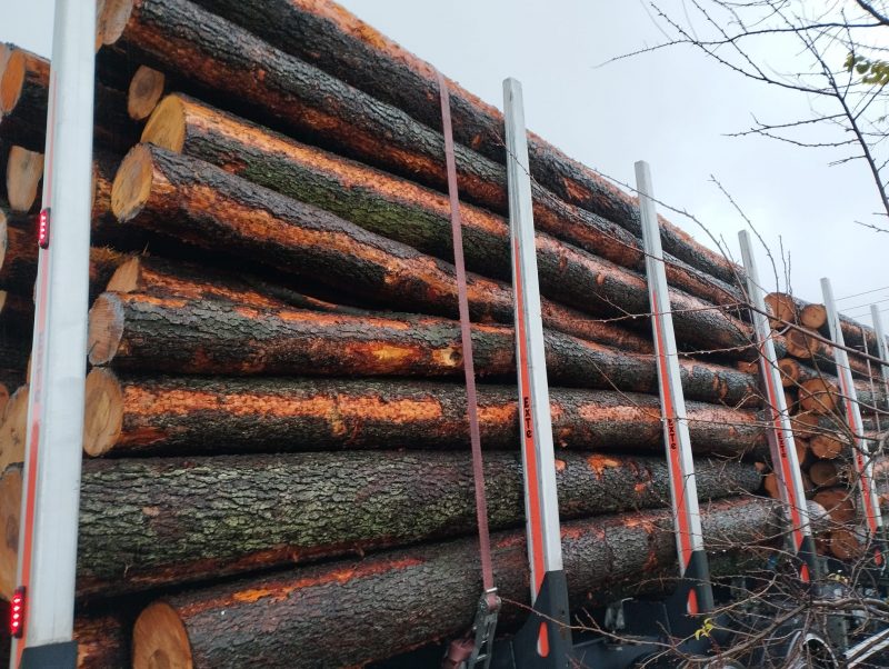 ROUND ALDER WOOD WITH BARK 