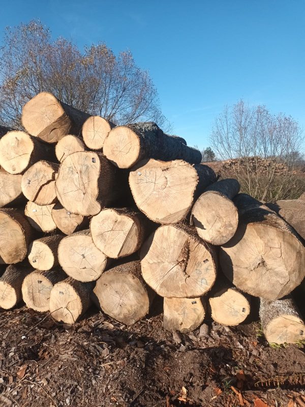 ROUND ASH WOOD WITH BARK 
