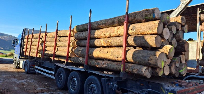 ROUND ASH WOOD WITH BARK 