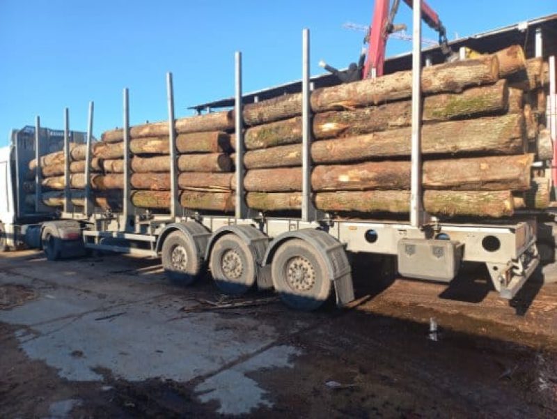 ROUND OAK WOOD WITH BARK 