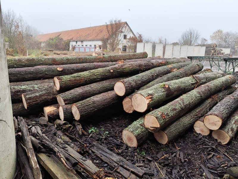 ROUND OAK WOOD WITH BARK
