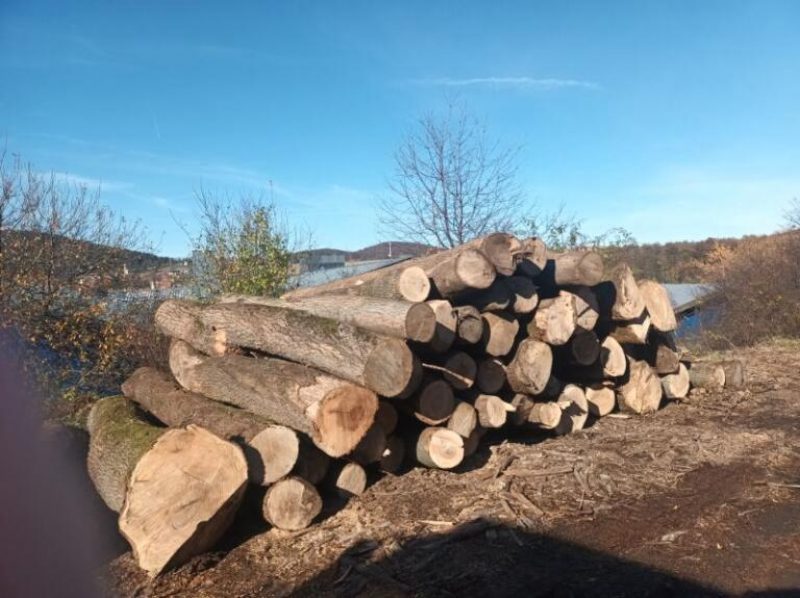 ROUND ASH WOOD WITH BARK