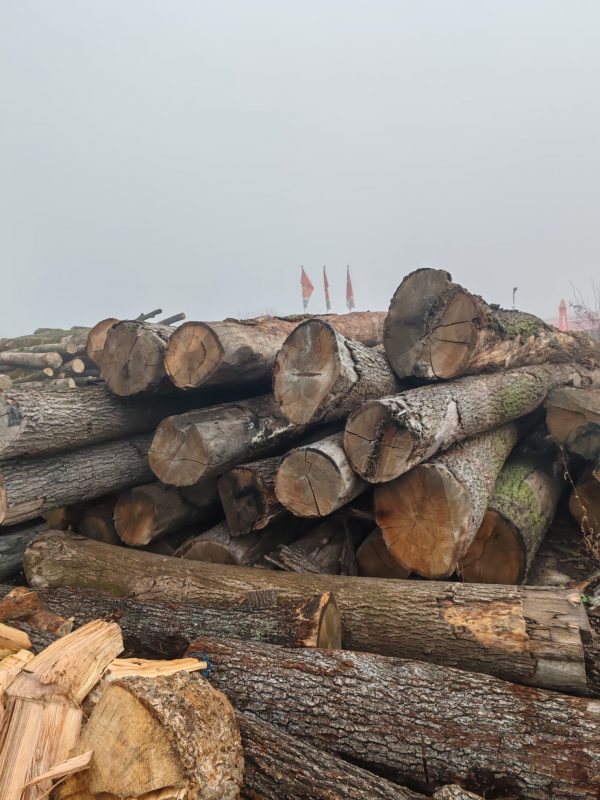 ROUND OAK WOOD WITH BARK 