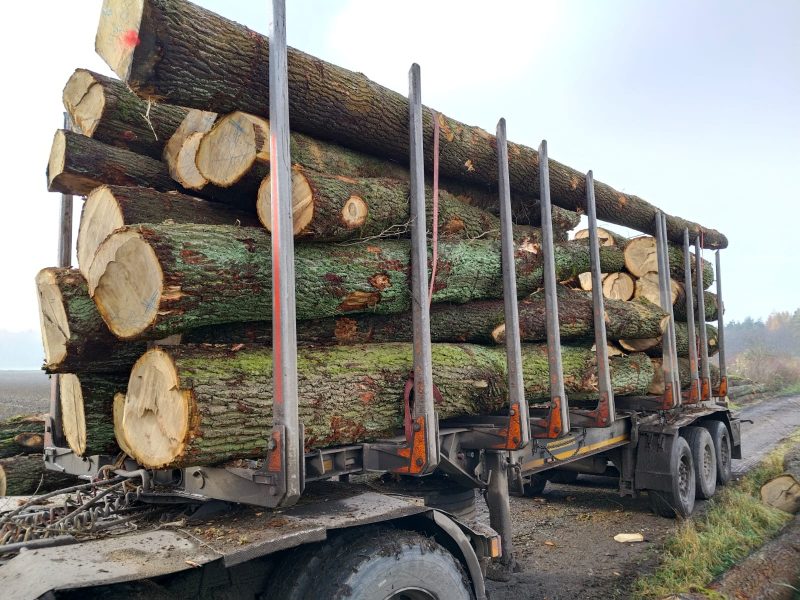 ROUND OAK WOOD WITH BARK 