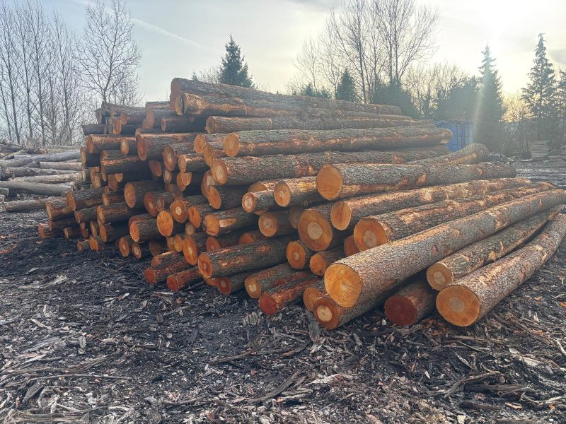 ROUND ALDER WOOD WITH BARK