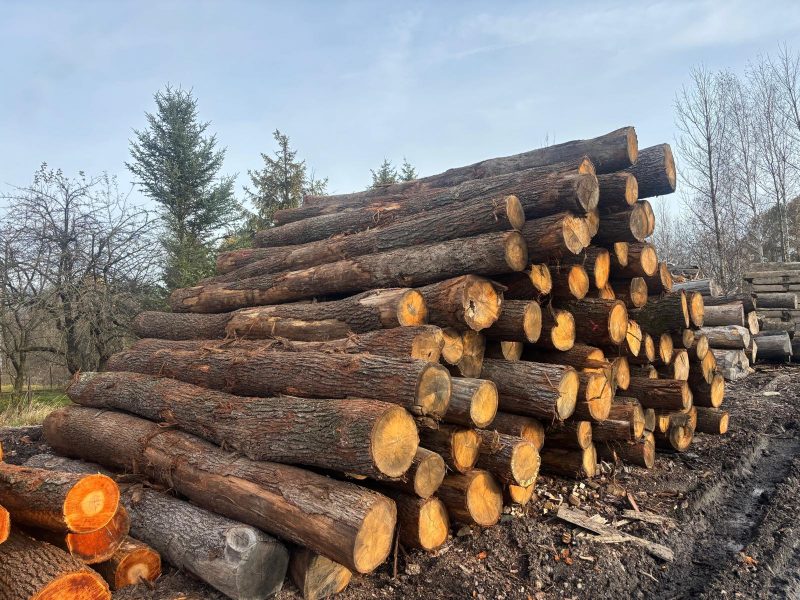 ROUND OAK WOOD WITH BARK 