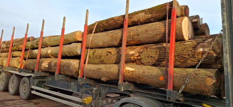 ROUND ASH WOOD WITH BARK 