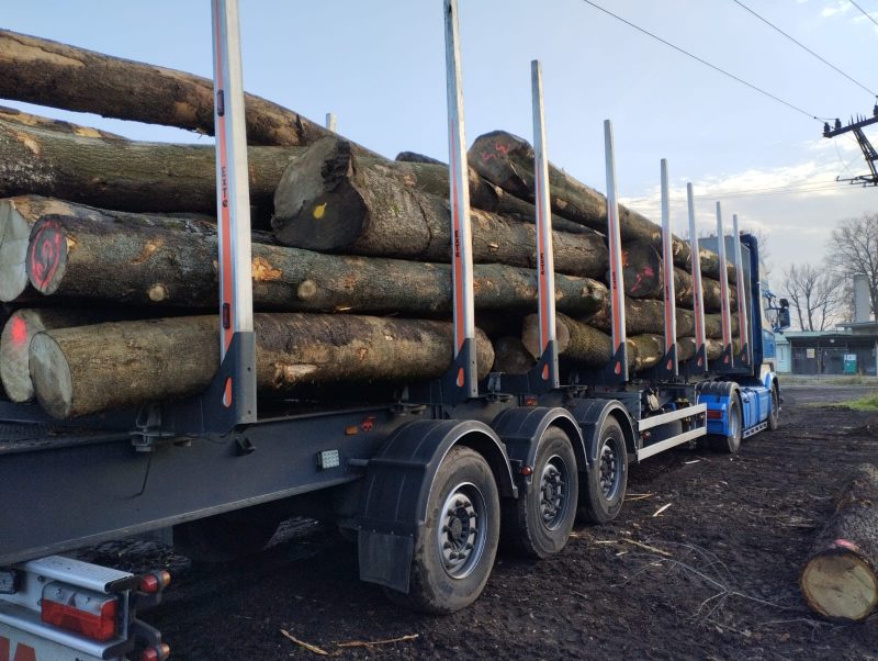 ROUND ASH WOOD WITH BARK 