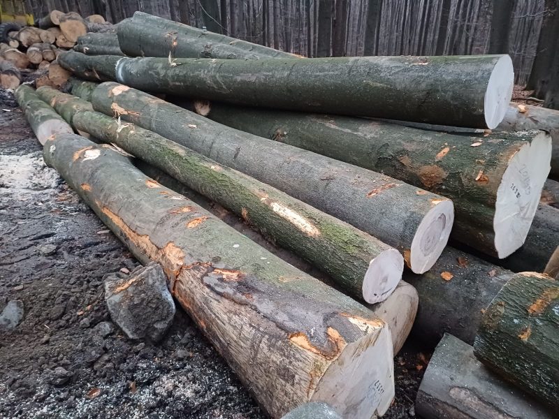 ROUND BEECHWOOD WITH BARK 