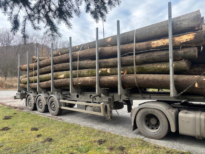 ROUND ASH WOOD WITH BARK 