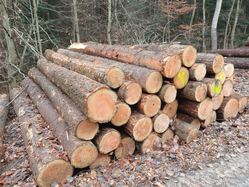 DOUGLAS-FIR LOGS 