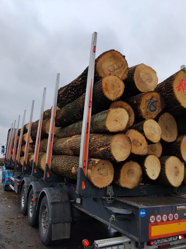 ROUND ASH WOOD WITH BARK 