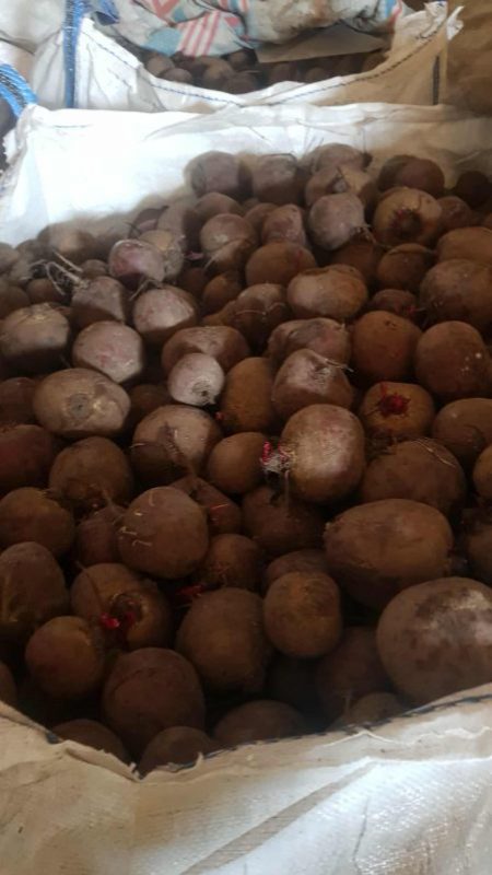 VEGETABLES - RED BEET