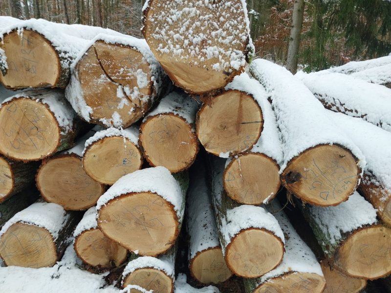 ROUND OAK WOOD WITH BARK