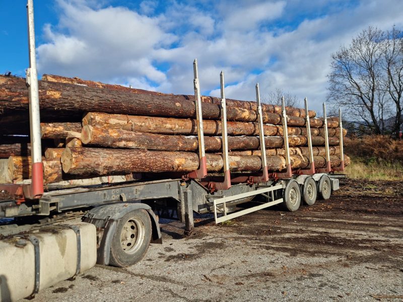 ROUND PINEWOOD WITH BARK 