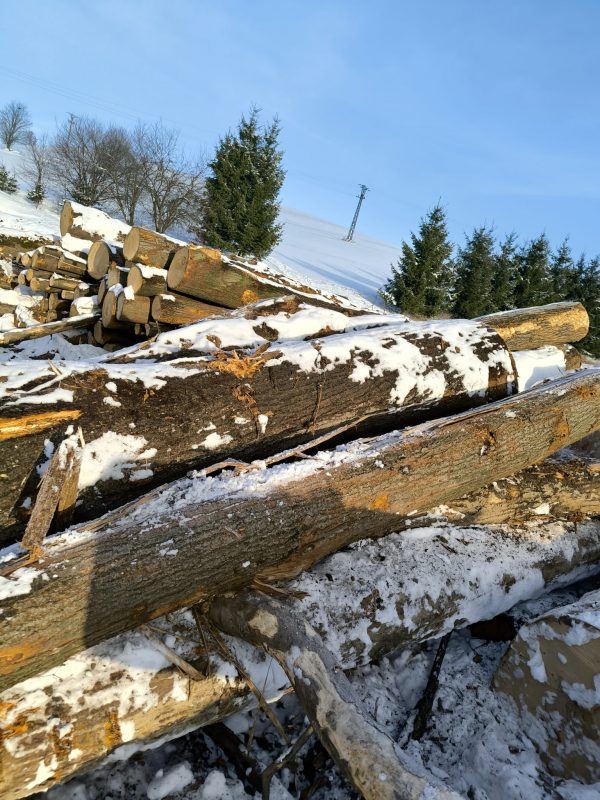 LIME TIMBER ROUND WITH BARK