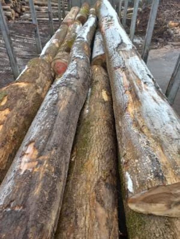 ROUND ASH WOOD WITH BARK