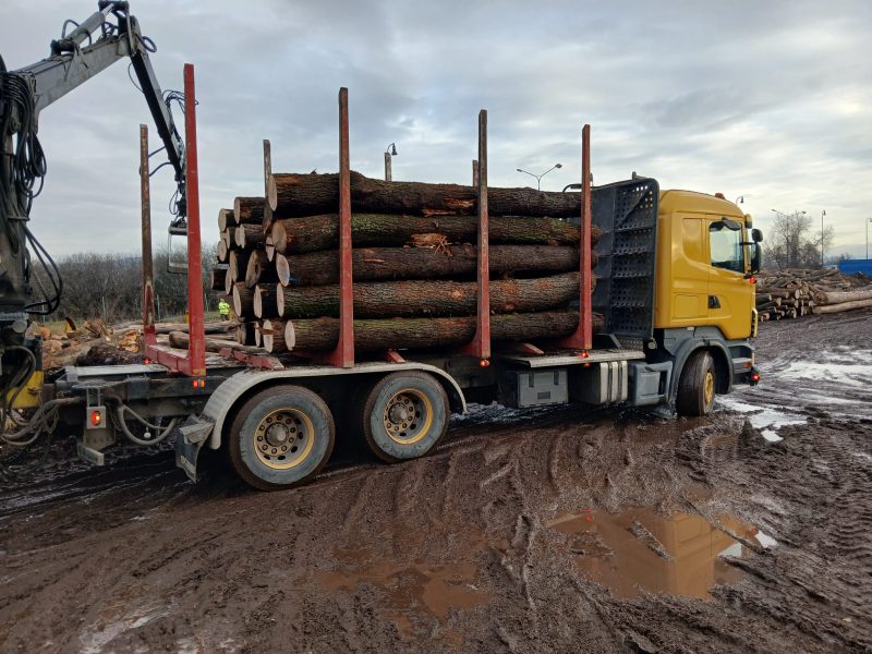ROUND OAK WOOD WITH BARK 