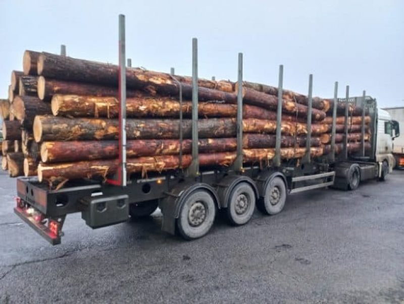 ROUND PINEWOOD WITH BARK 