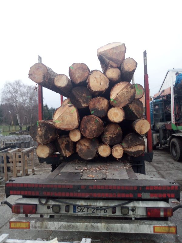 ROUND PINEWOOD WITH BARK 