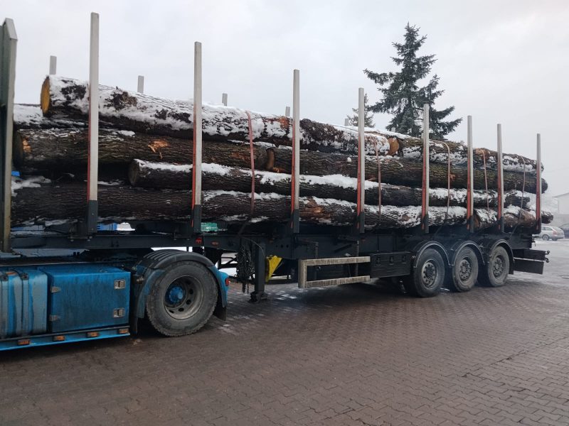 ROUND OAK WOOD WITH BARK 