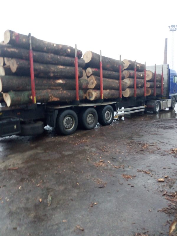 ROUND ASH WOOD WITH BARK 