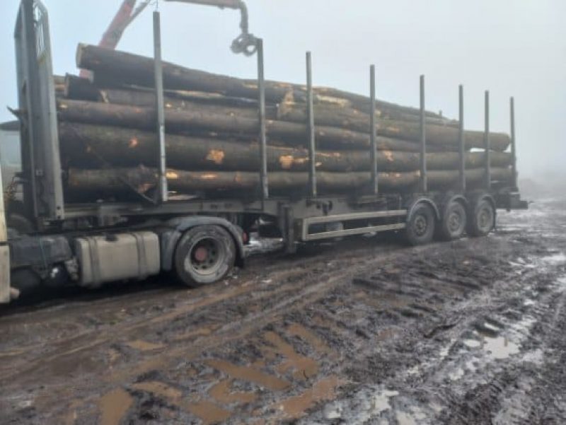 ROUND ASH WOOD WITH BARK 