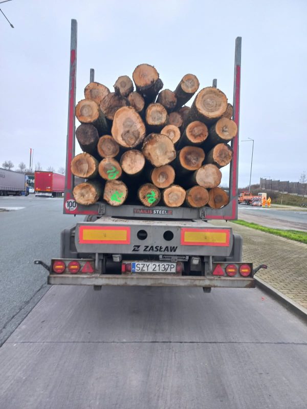 ROUND ASH WOOD WITH BARK 