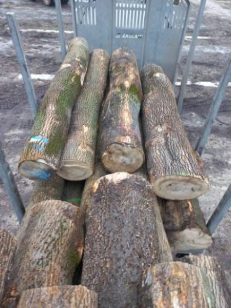 ROUND ASH WOOD WITH BARK