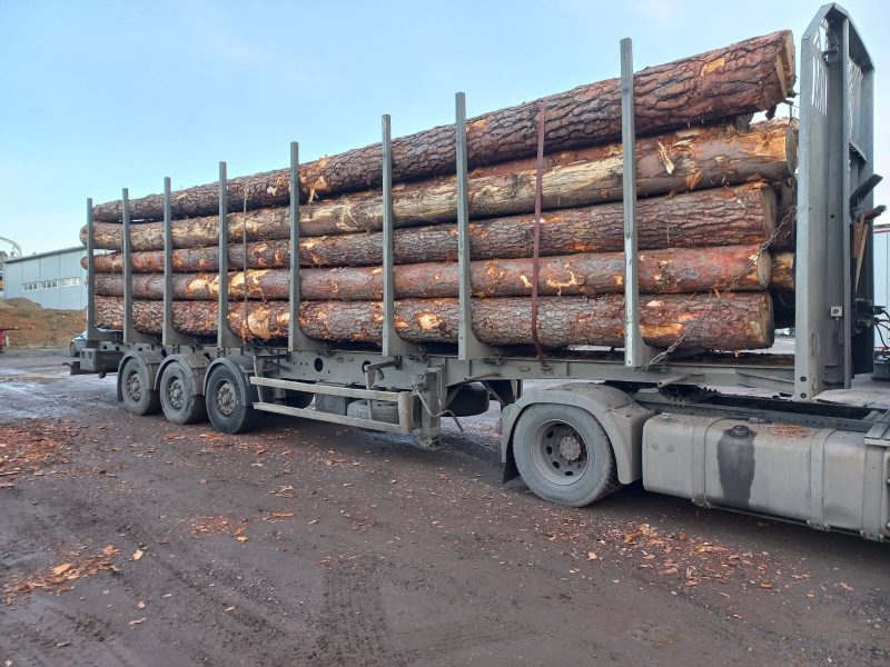 ROUND PINEWOOD WITH BARK 