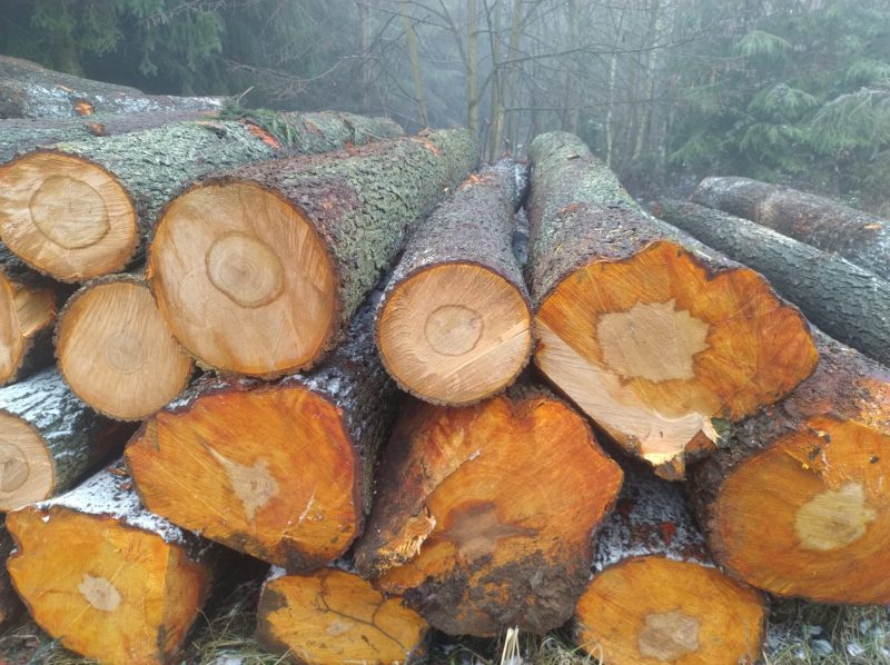 ROUND ALDER WOOD WITH BARK 