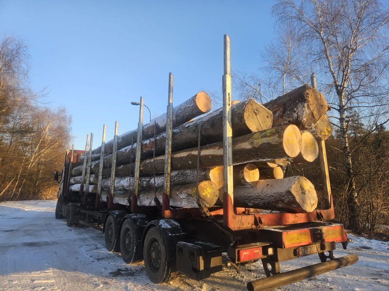 ROUND ASH WOOD WITH BARK 