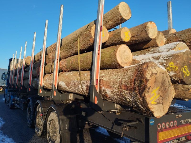 ROUND ASH WOOD WITH BARK 