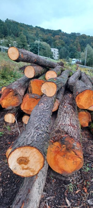 ROUND ALDER WOOD WITH BARK 