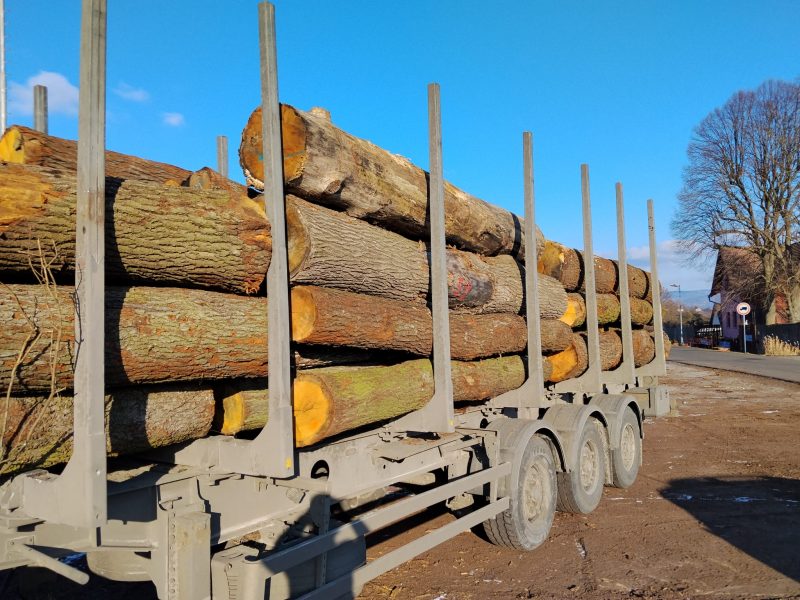 ROUND OAK WOOD WITH BARK 