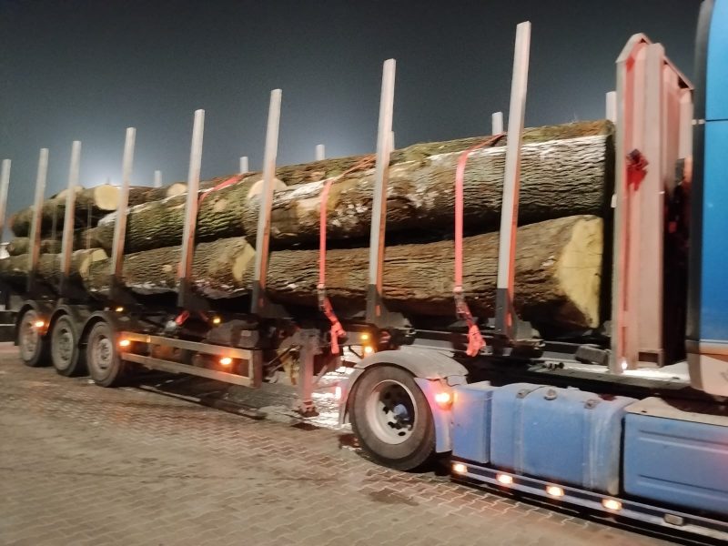 ROUND OAK WOOD WITH BARK 