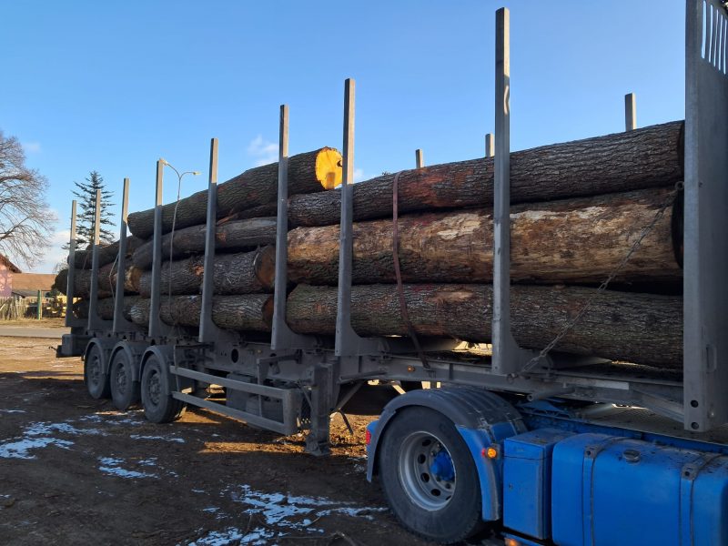 ROUND OAK WOOD WITH BARK
