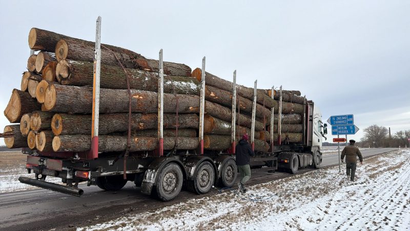 ROUND ALDER WOOD WITH BARK