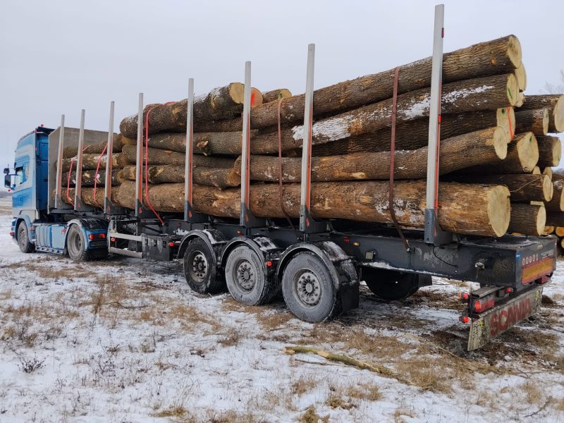 ROUND ASH WOOD WITH BARK