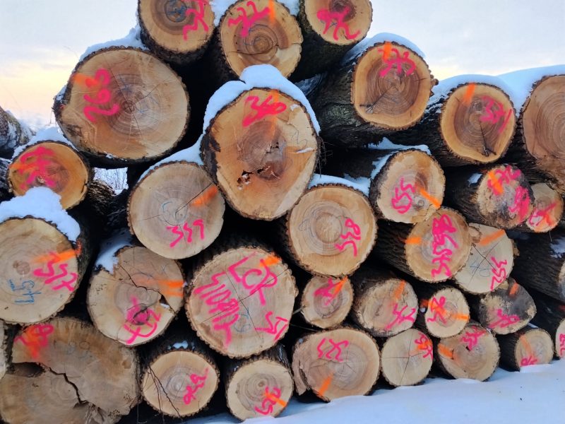 ROUND ASH WOOD WITH BARK 